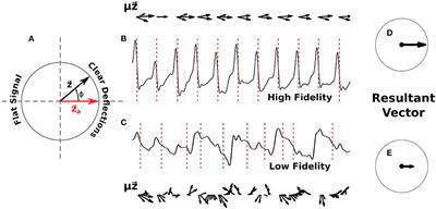 Characterizing Electrogram Signal Fidelity and the Effects of Signal Contamination on Mapping Human Persistent Atrial Fibrillation